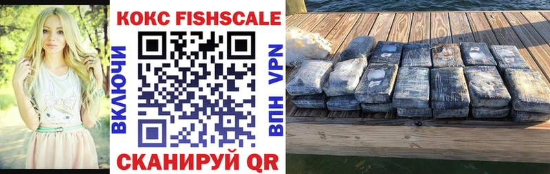Купить закладки  Мирный  Кокаин FishScale 