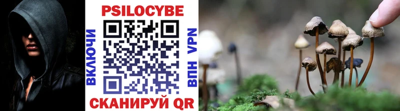 Галлюциногенные грибы мухоморы  Купить закладки  Мирный 